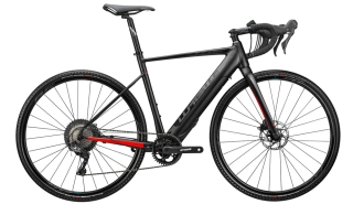 Whistle Flow ADV E2.0 Black/Red