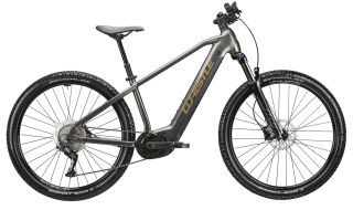 Whistle B-Race Eblade Anthracite/Gold